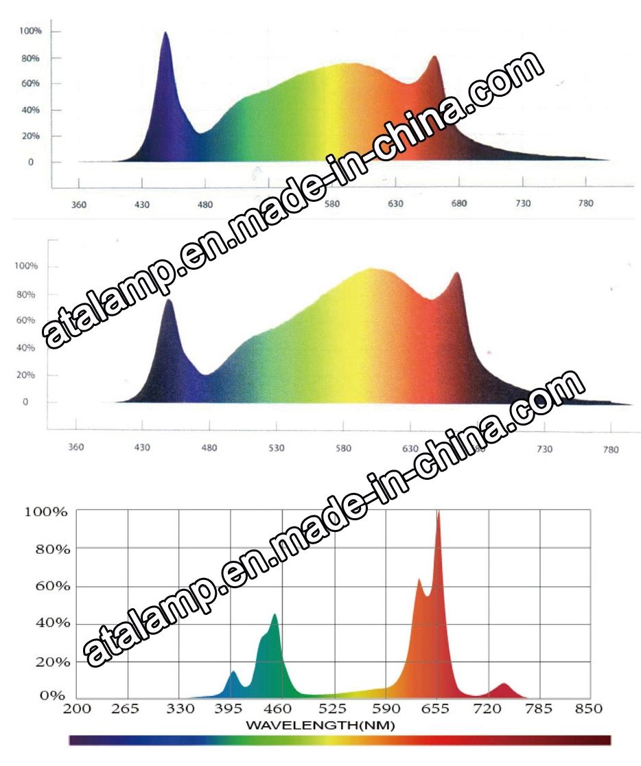 Full Spectrum LED Plant Lights 50W/75W/80W/100W/150W/300W/400W/450W/500W/600W/650W/700W/800W/900W/1000W/1200W/1500W CREE/Osram/Sumsung LED Grow Light