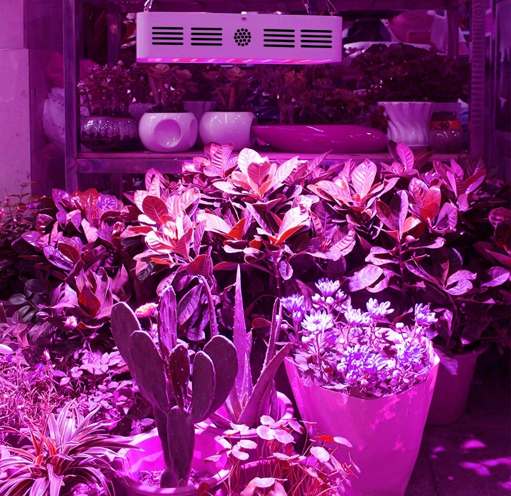 400W COB LED Grow Light