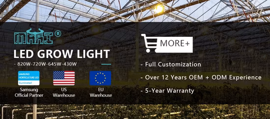 Lm301b 640W 800W Fluence Spyder LED crece la luz hidropónica de espectro completo para plantas medicinales