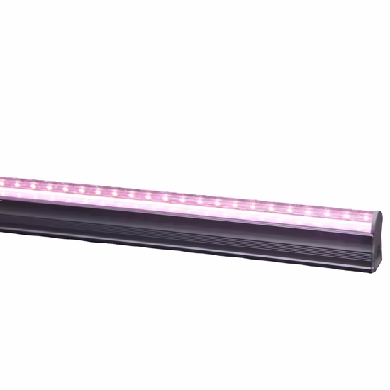 Meijiu Grow Light Full Spectrum Mejor calidad 650W LED Grow Light