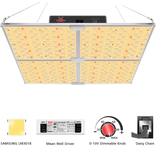 Las plantas vegetales de espectro completo de alta potencia crecen en invernadero 200W 400W Hang DIY LED Las mejores luces de cultivo para interiores