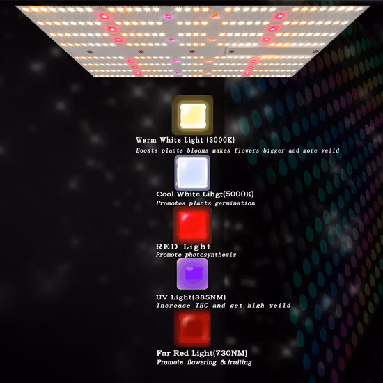 Luz de cultivo LED de alto Ppfd con diseño retráctil patentado con atenuador de perilla y puerto RJ