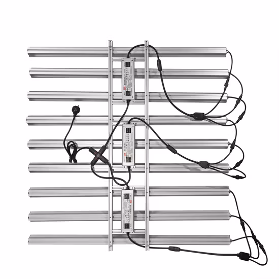 Luz de cultivo LED de barra múltiple ajustable de espectro completo de 800W para fábrica de cultivo de plantas